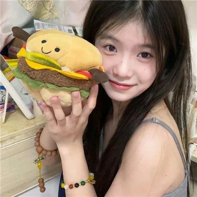 天网狼蛛