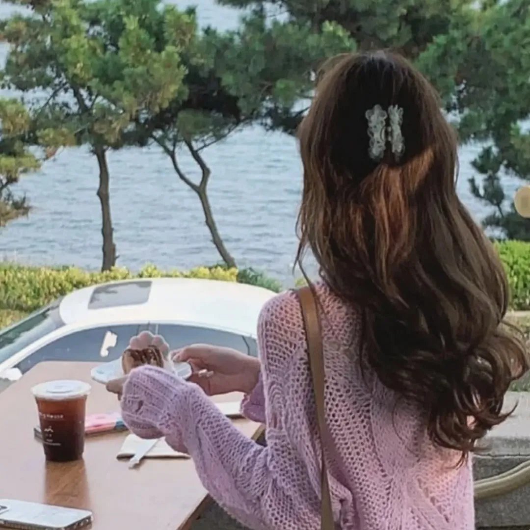 最后的飞行