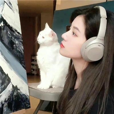 倾城佳话